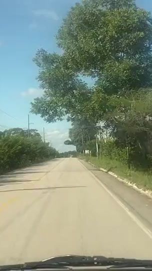 TikTok video thumbnail by 520veronica