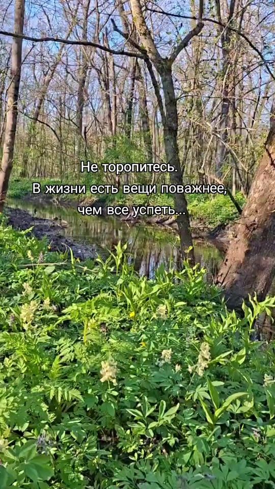TikTok video thumbnail by meri_meri2101_rezerv