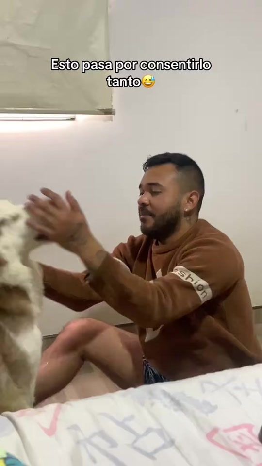 TikTok video thumbnail by mifamiliadehuskies