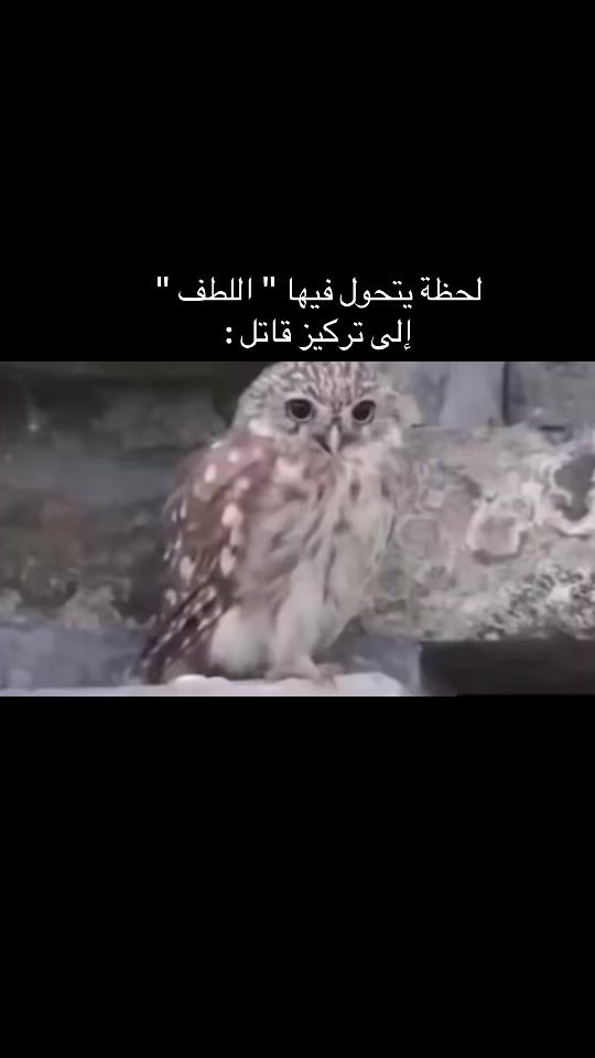 TikTok video thumbnail by n.734