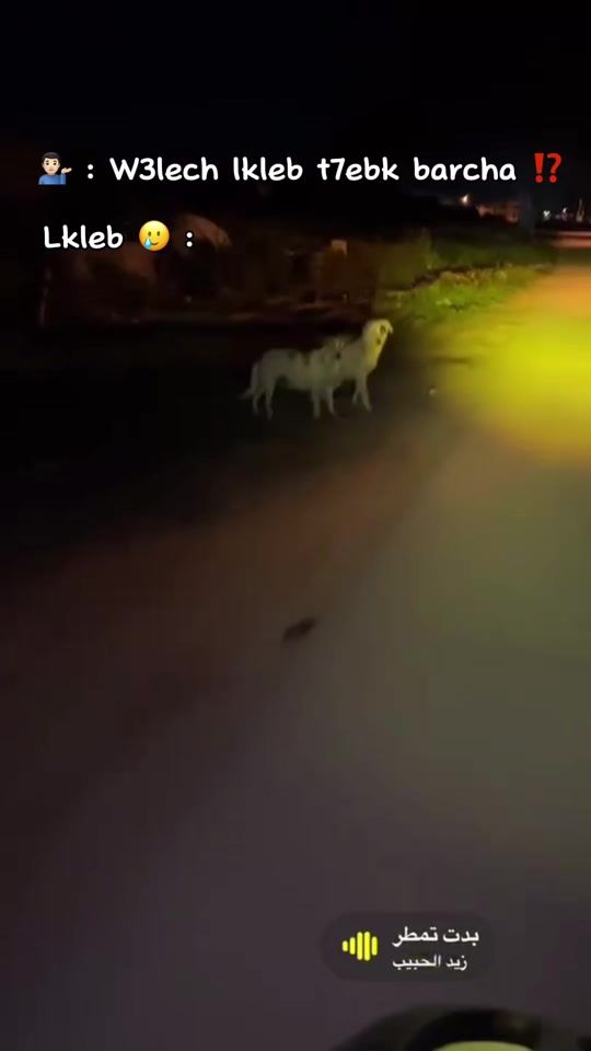 TikTok video thumbnail by anier___