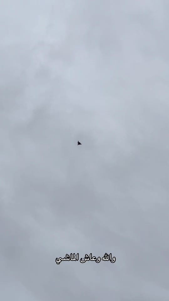 TikTok video thumbnail by ak____ao