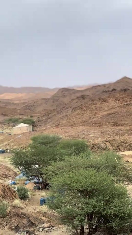 TikTok video thumbnail by alhadj.azrah