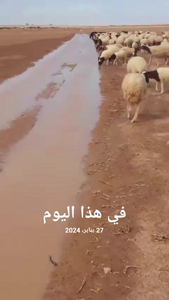TikTok video thumbnail by user6585052554079