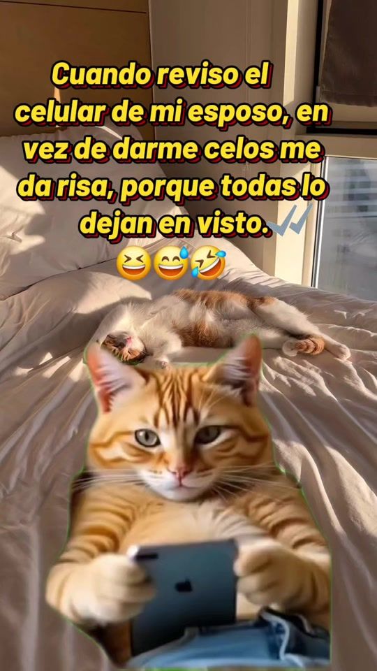 TikTok video thumbnail by mariche42