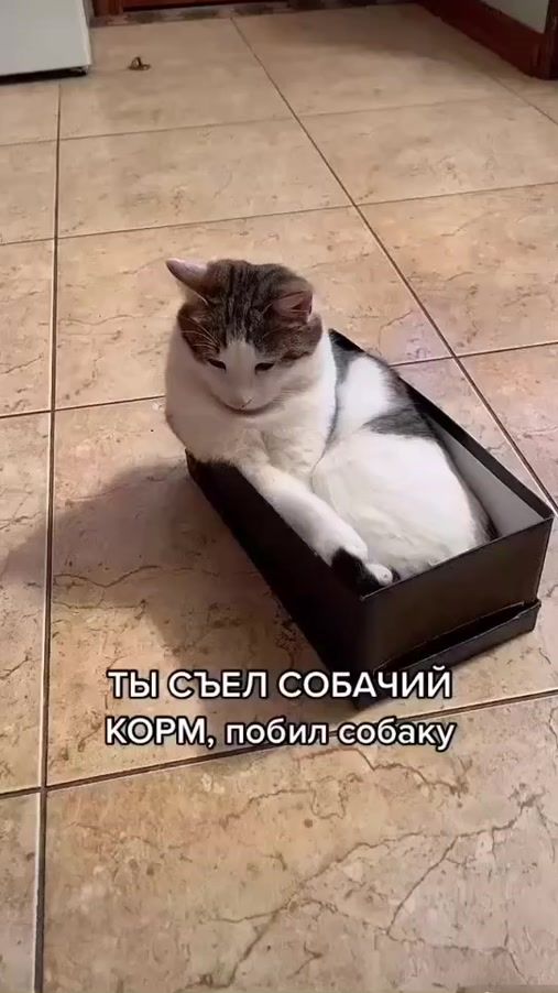 TikTok video thumbnail by bakaevamira