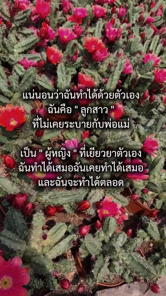 TikTok video thumbnail by cactusbanncare