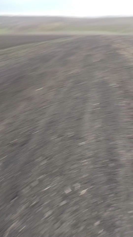 TikTok video thumbnail by dimkabrinza0