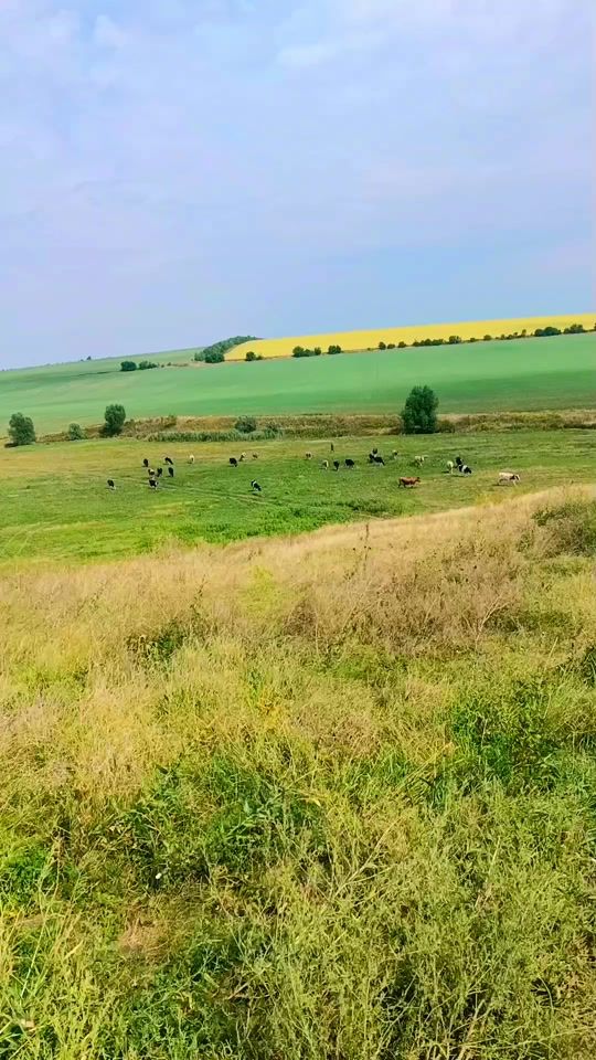 TikTok video thumbnail by cazacu.marius02