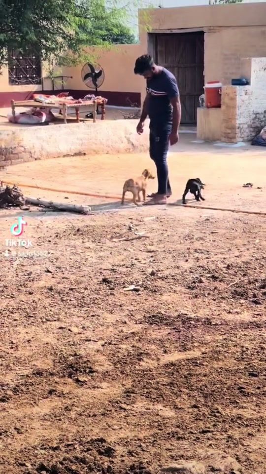 TikTok video thumbnail by sajid15522