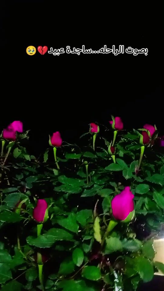 TikTok video thumbnail by j9jjg67