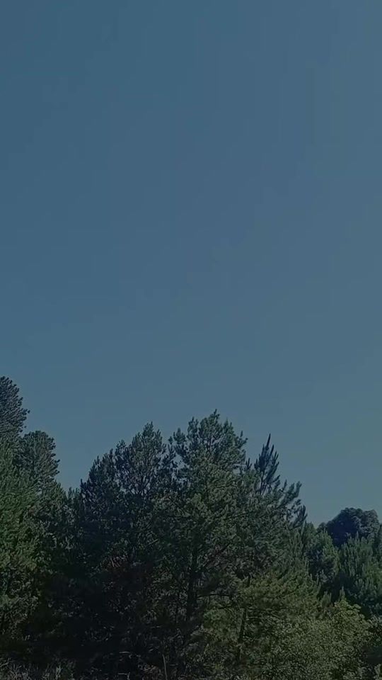 TikTok video thumbnail by silvia12103
