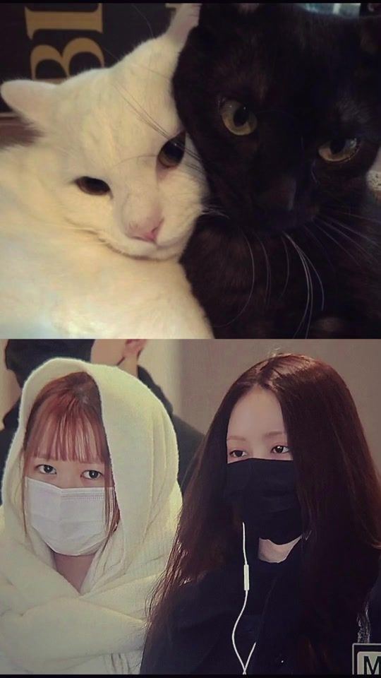 TikTok video thumbnail by carmen4ver