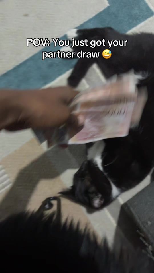 TikTok video thumbnail by therealcrocsboss