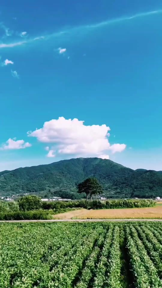 TikTok video thumbnail by yunseohyun1117