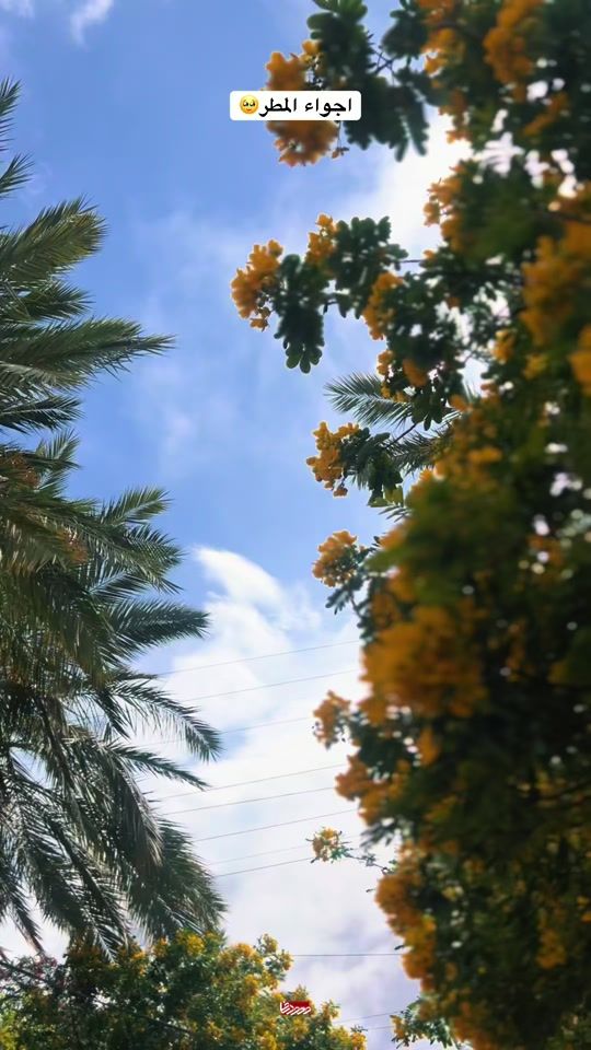TikTok video thumbnail by x55hh