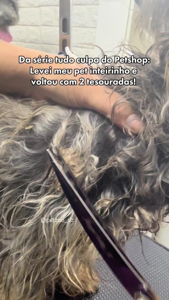 TikTok video thumbnail by petzoo_slz