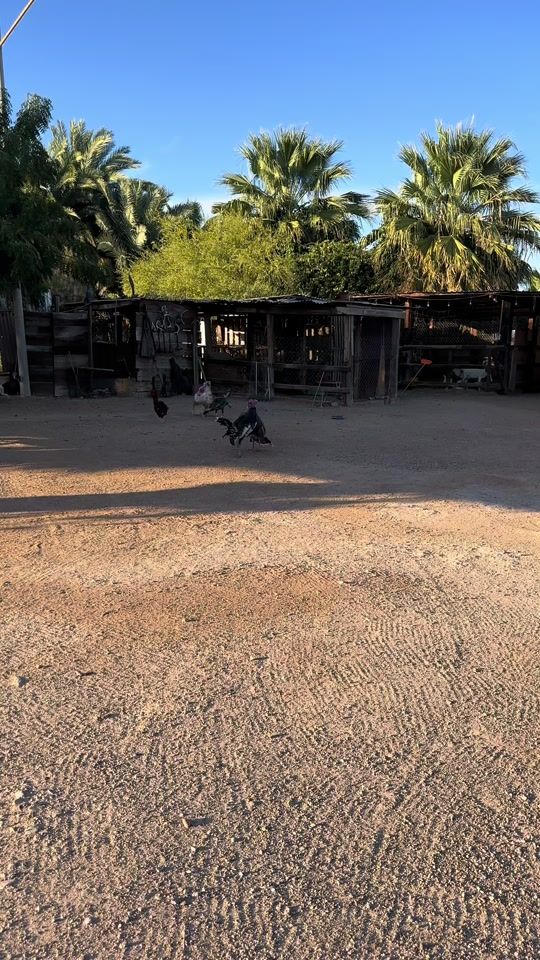 TikTok video thumbnail by ailinvargas13