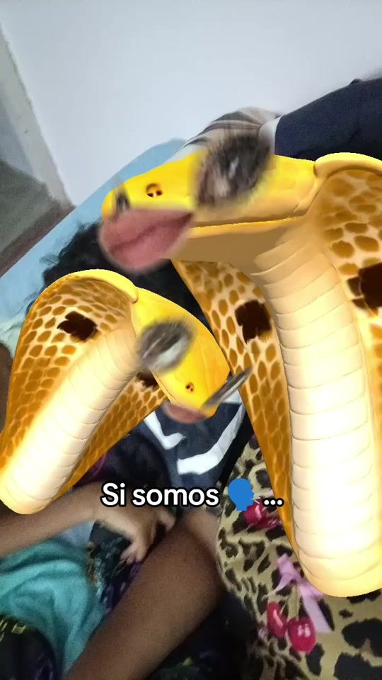 TikTok video thumbnail by soygabybracho
