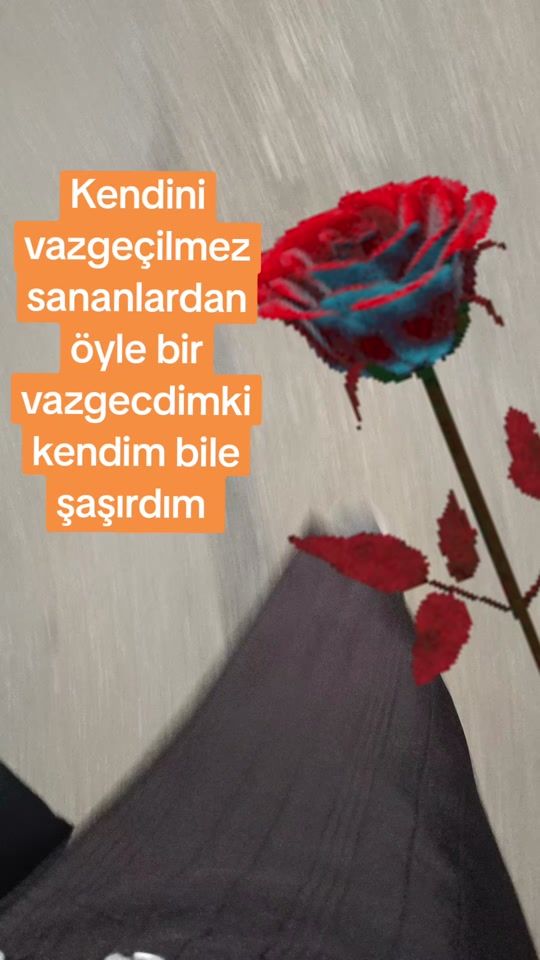 TikTok video thumbnail by gamzelim722
