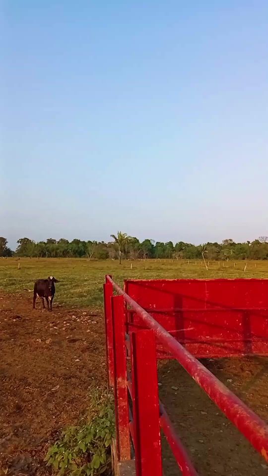 TikTok video thumbnail by .eljesus20