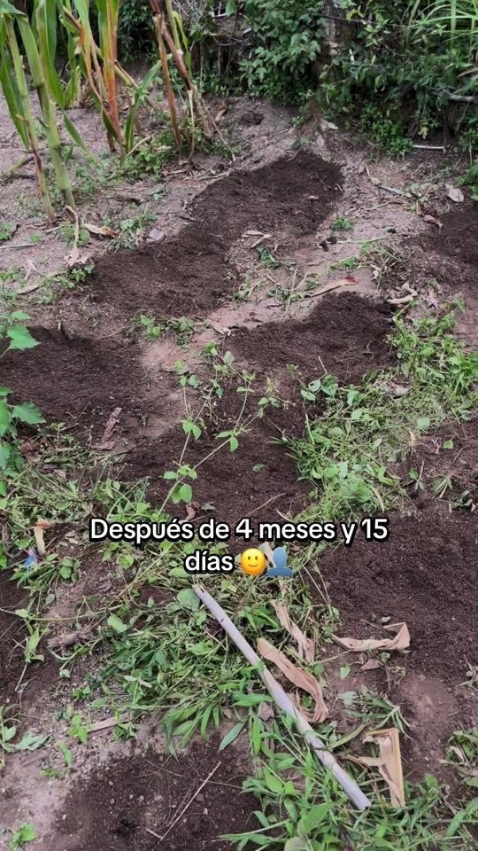TikTok video thumbnail by santos.l92