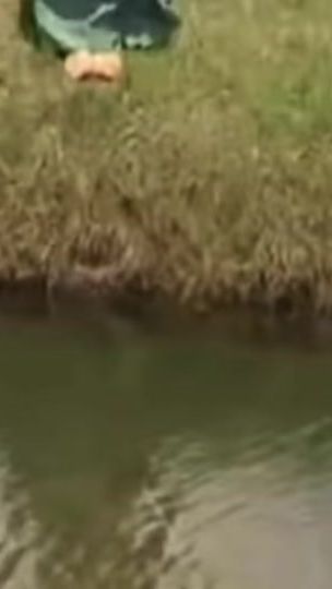 TikTok video thumbnail by bhutan.sonam.wangd