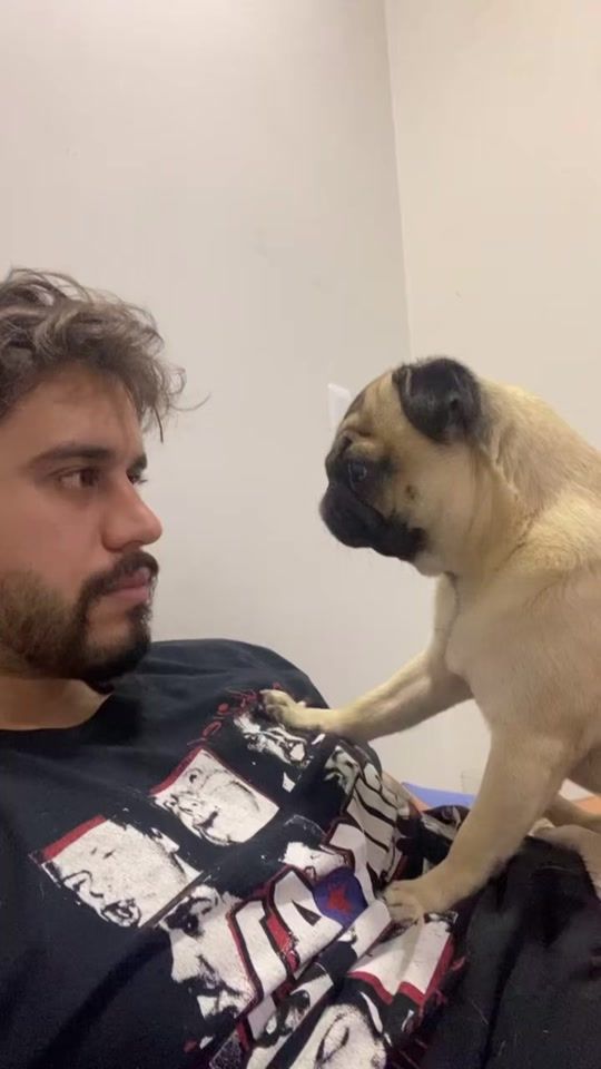TikTok video thumbnail by dolores_thepug