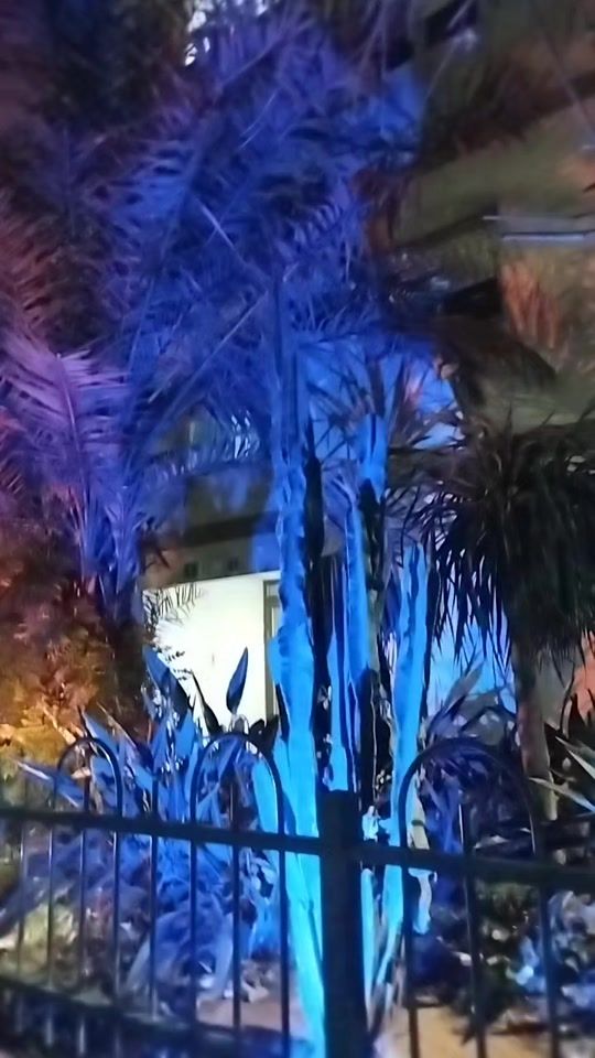 TikTok video thumbnail by olysha705