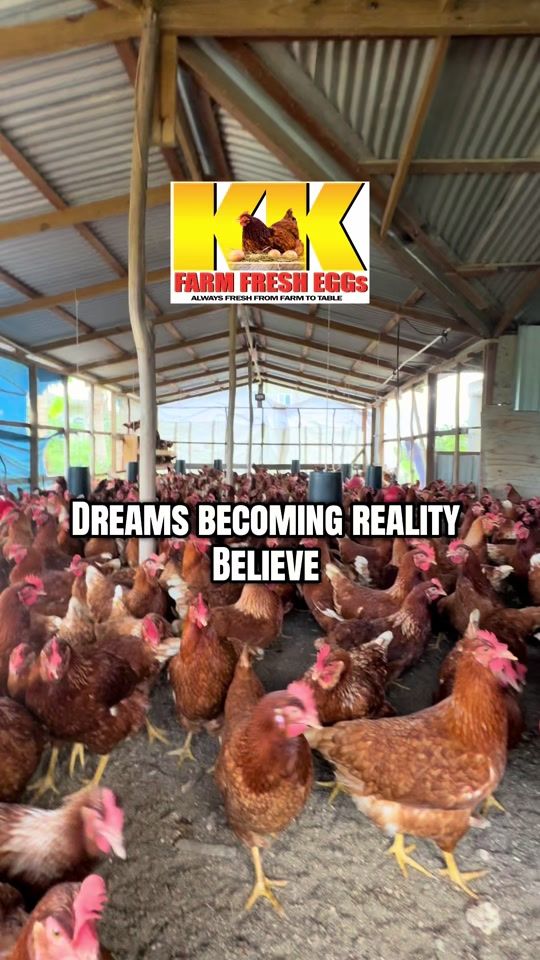 TikTok video thumbnail by kk.farm.fresh.ltd