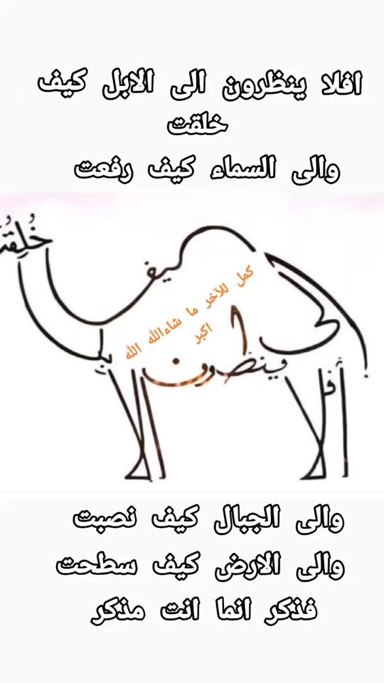 TikTok video thumbnail by imedsari33
