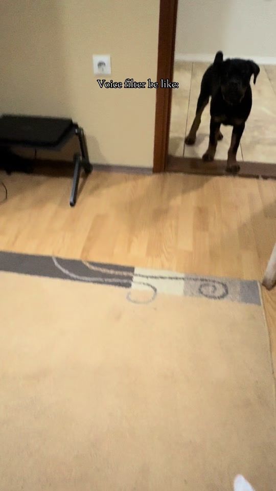 TikTok video thumbnail by _tk_46