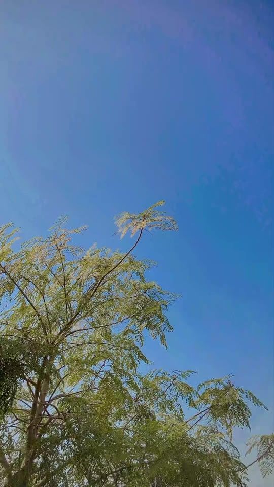 TikTok video thumbnail by master.hakimali.singer
