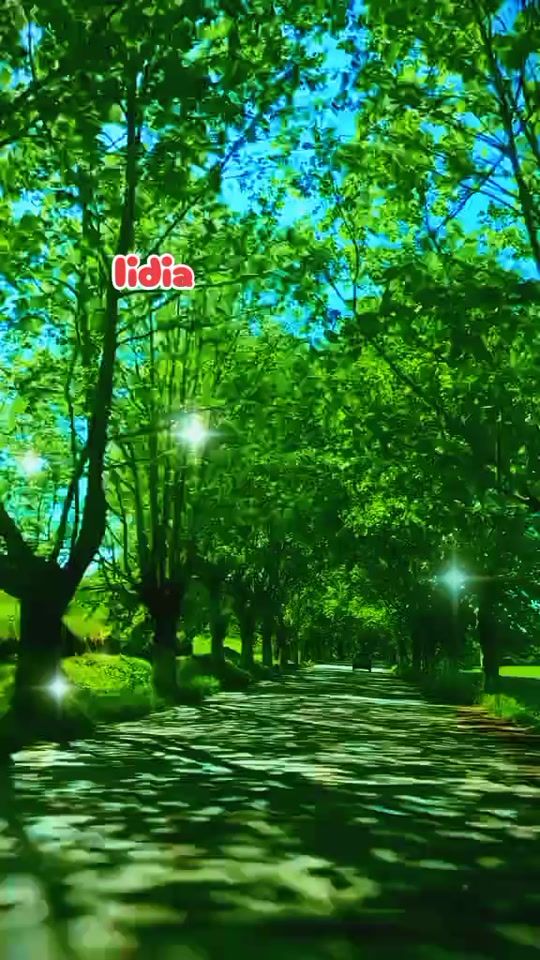 TikTok video thumbnail by lidiadz25