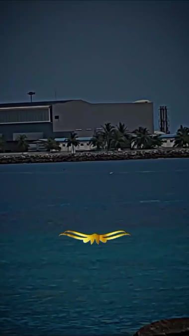 TikTok video thumbnail by malang_typist.01