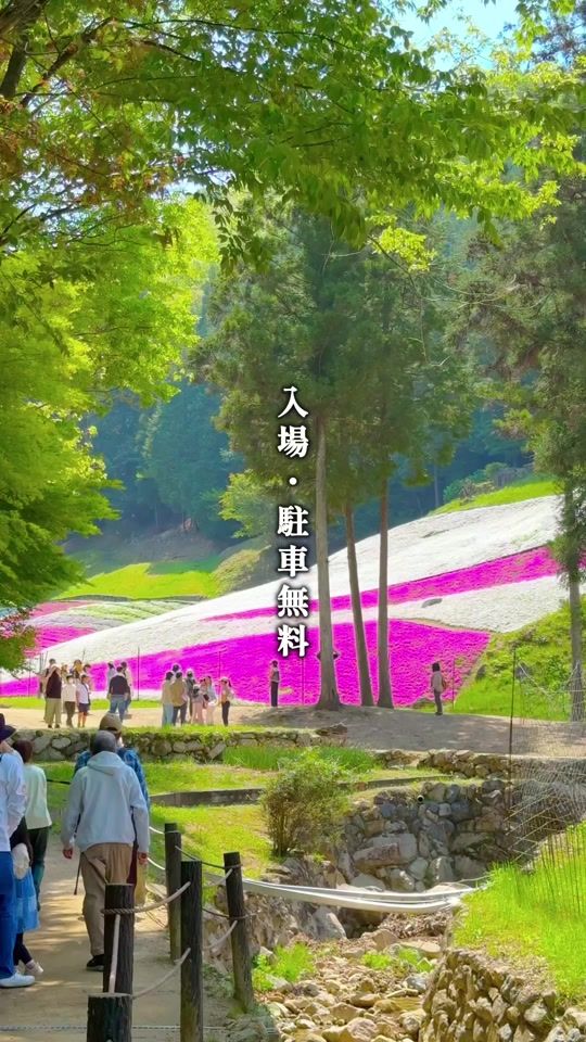 TikTok video thumbnail by ittabi_plus