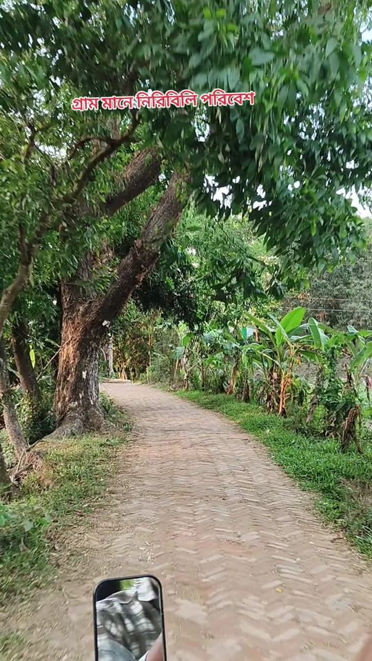 TikTok video thumbnail by mdabcar148