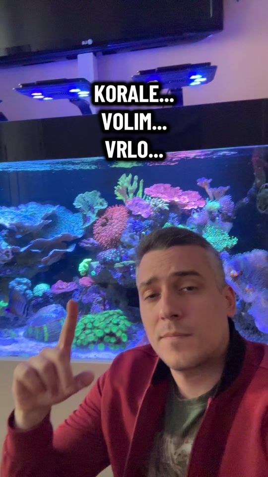 TikTok video thumbnail by vrelisha