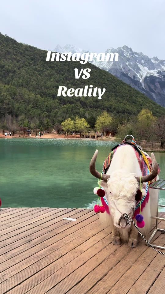 TikTok video thumbnail by _danala_3