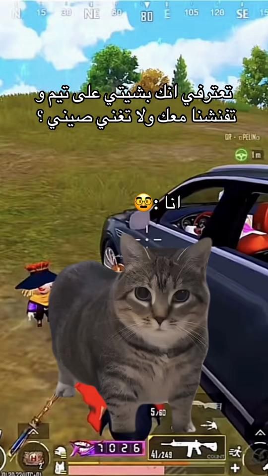 TikTok video thumbnail by ranooosh880