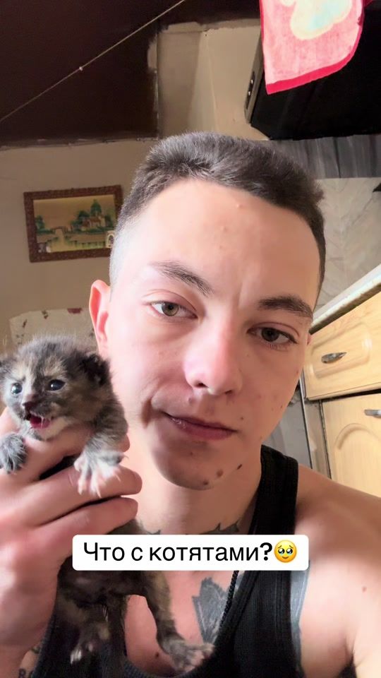 TikTok video thumbnail by suetolog_krd