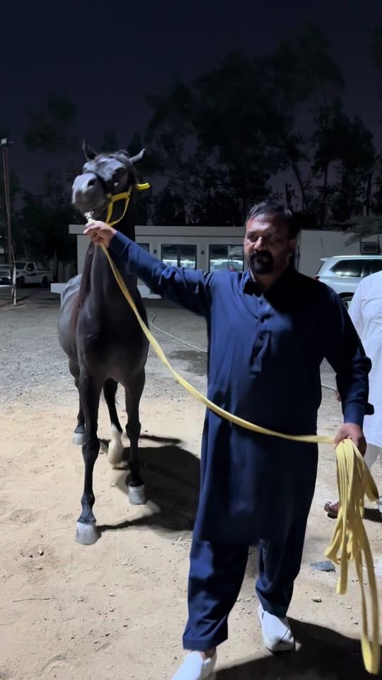TikTok video thumbnail by malikbaadshah96