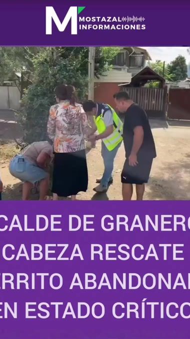 TikTok video thumbnail by ivanortegalocutor