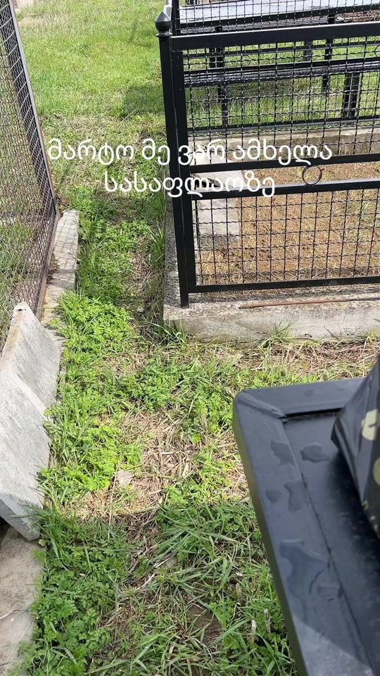 TikTok video thumbnail by ninonini571