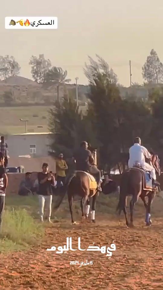 TikTok video thumbnail by libyahorses7