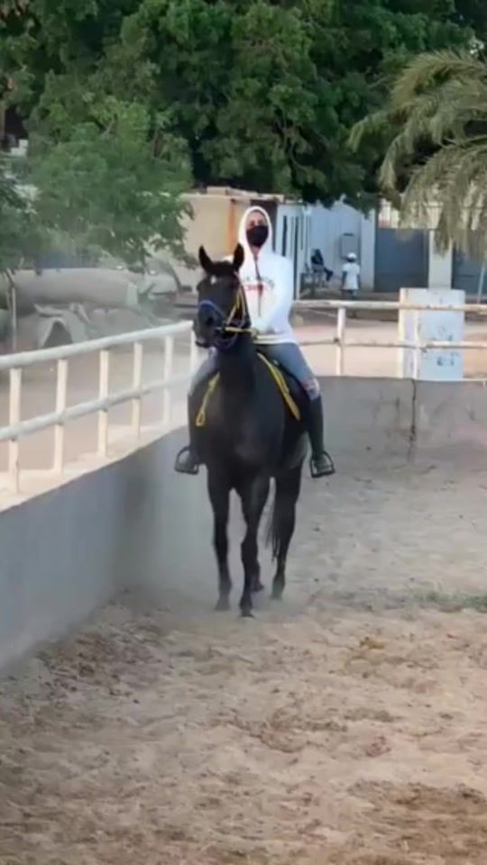 TikTok video thumbnail by user6695305912976