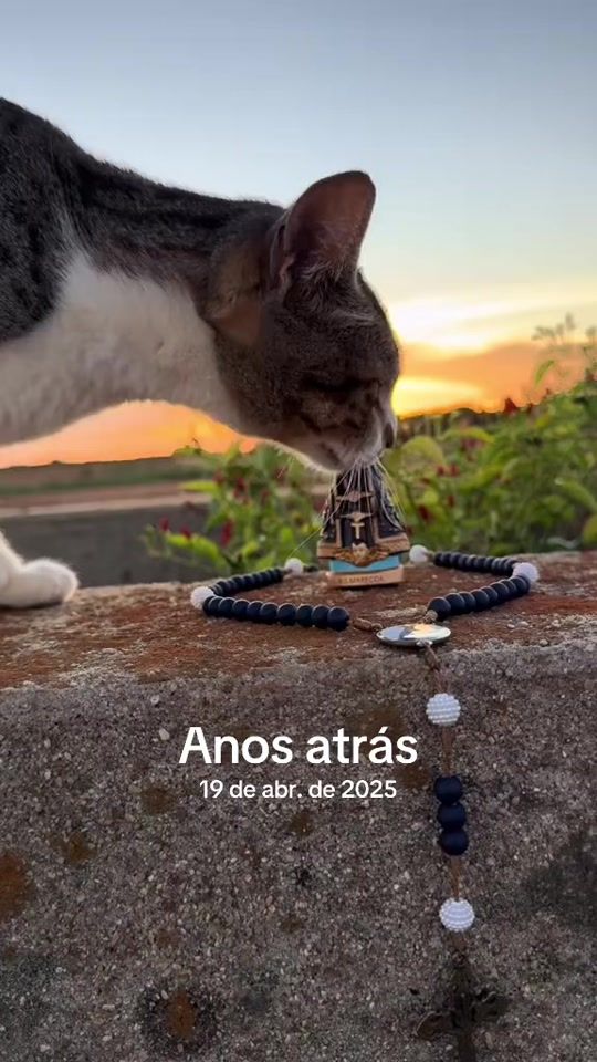 TikTok video thumbnail by jesusemaria_01