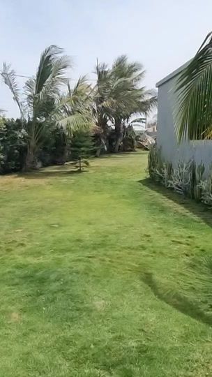 TikTok video thumbnail by vincesalyimmo