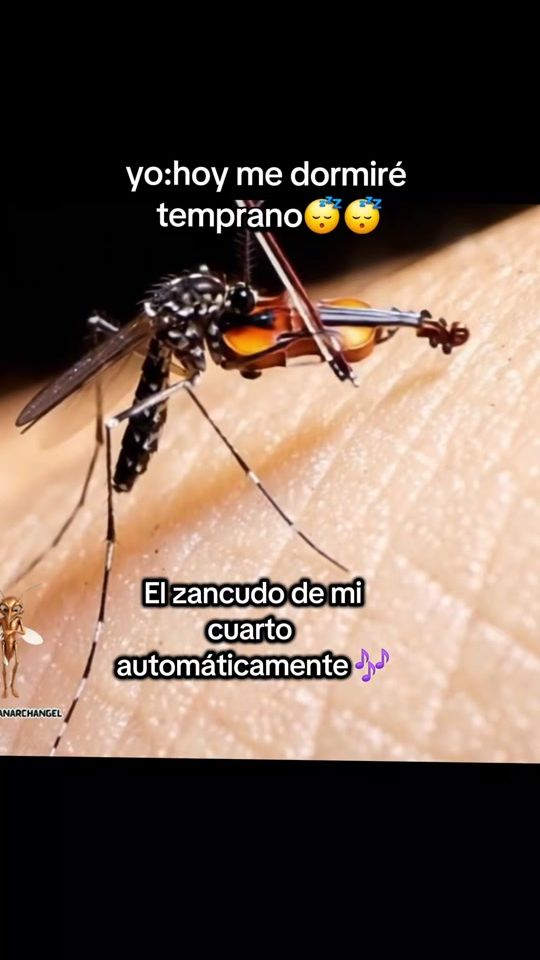 TikTok video thumbnail by wisin_jr