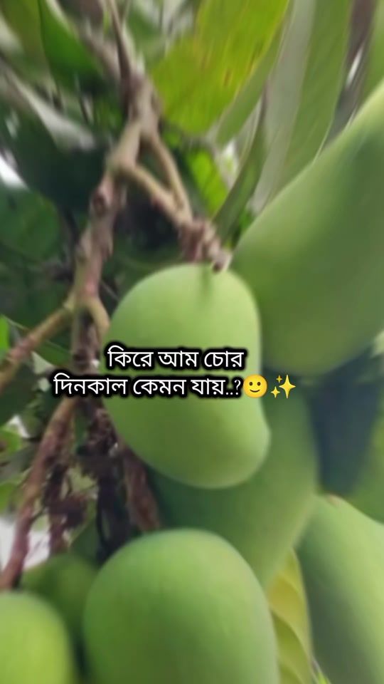 TikTok video thumbnail by kulsom29